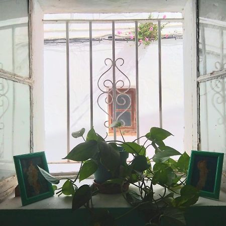 Villa Merced Vejer de la Frontera Extérieur photo